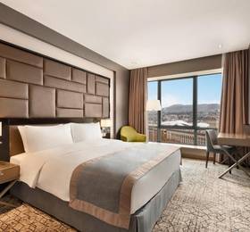 Wyndham Grand Tbilisi в Тбилиси