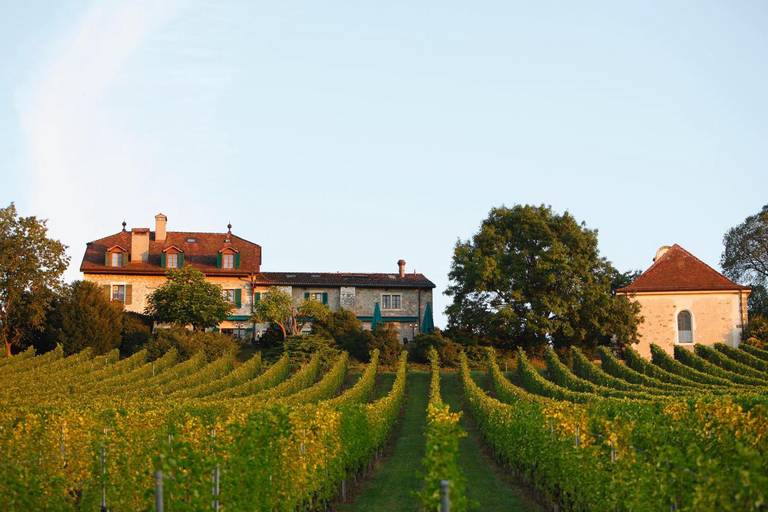 Domaine de Chateauvieux