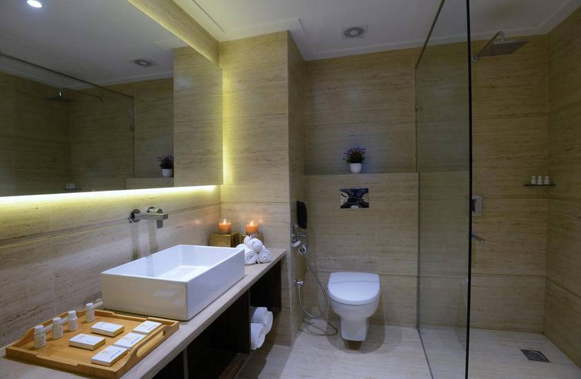 Hotel Royale Regent 4* Индия, Агра