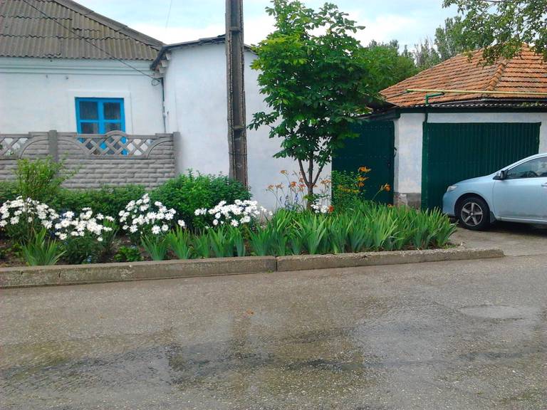 Гостевой дом Любимая, Береговое