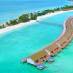 Фото 11 отеля South Palm Resort Maldives 4*