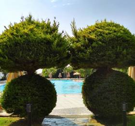 Lakeside Garden Holiday Village в Бодруме