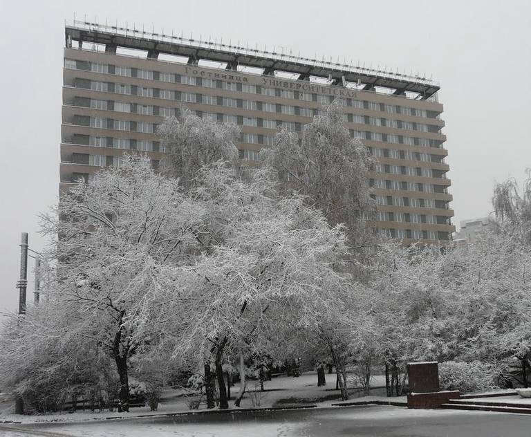 Университетская
