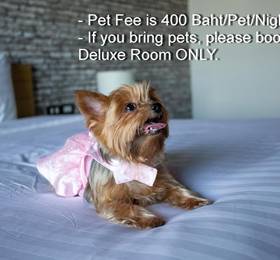 Get Zleep Premium Budget Hotel в Чианг Мае
