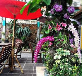 Отдых в Panda House Chiang Mai - Таиланд, Чианг Май