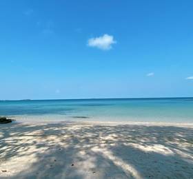 Туры в Jelly Fish Resort в Таиланде