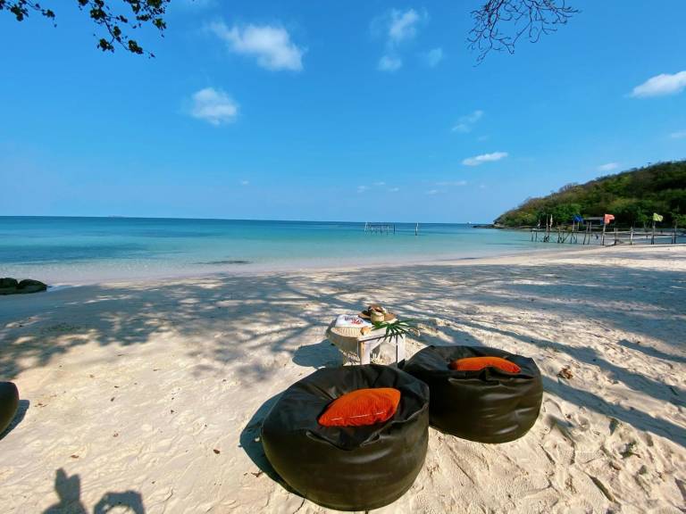 Jelly Fish Resort