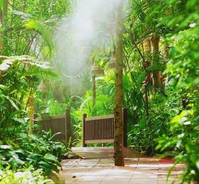Birds and Bees Resort в Чонбури