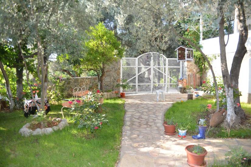 Butterfly Guest House Турция, Олюдениз