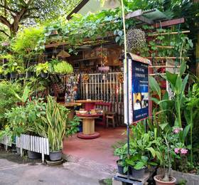 Отдых в Jimmy and Jeng Homestay - Таиланд, Чианг Май