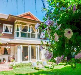 Отдых в Banyan House bed and breakfast - Таиланд, Самуи
