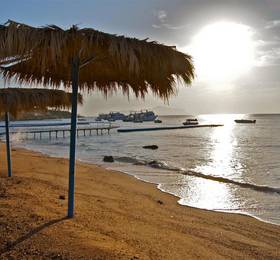 Отдых в Sharks Bay Umbi Diving Village - Египет, Шарм-эль-Шейх