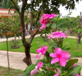 Kohchang FuengFah в Ко Чанге