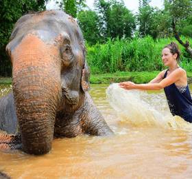 Elephant Retirement Park в Чианг Мае