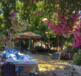 Отдых в Mandalin Apart Turgut Koy - Турция, Мармарис