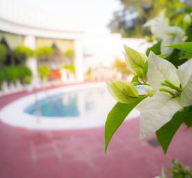 Отдых в Hotel Grecia Real - Сальвадор, Сан Сальвадор