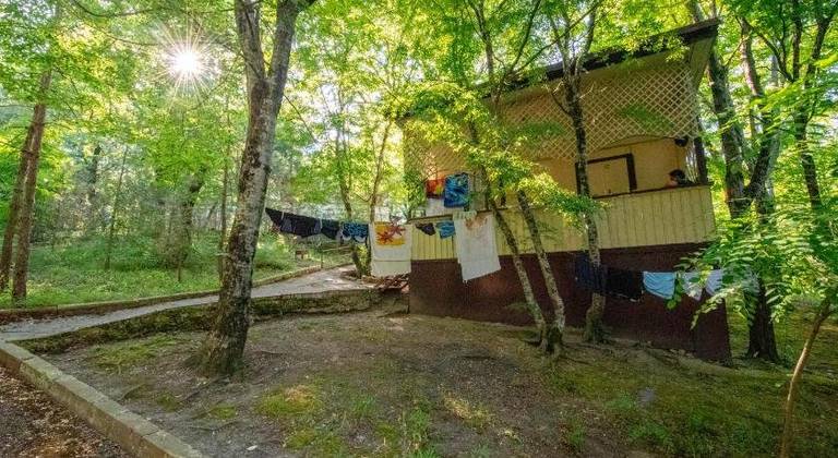 Золотой Колос