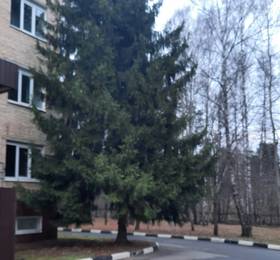 Туры в Подлипки в России