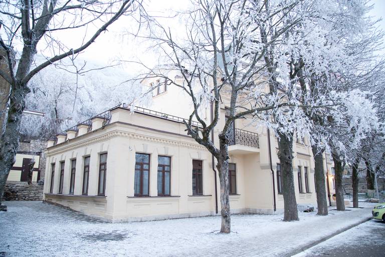 МЦ Княжна Мери