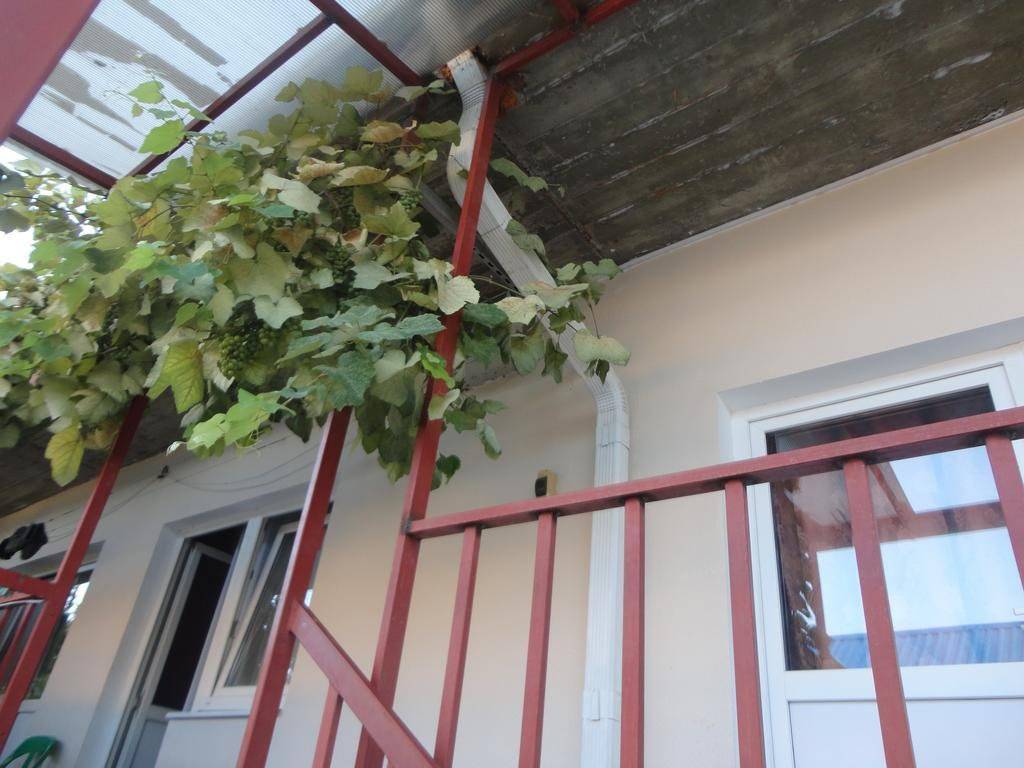 Гостевой дом Алиса 2*