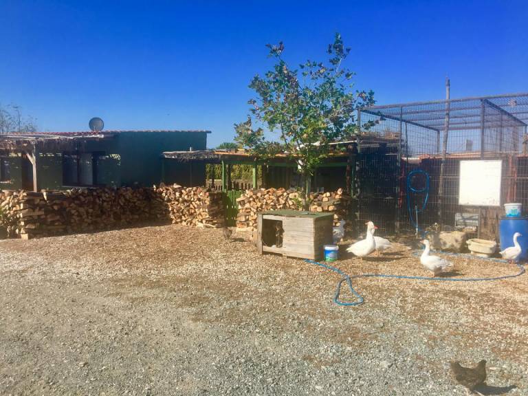 Ali Baba Apart Otel