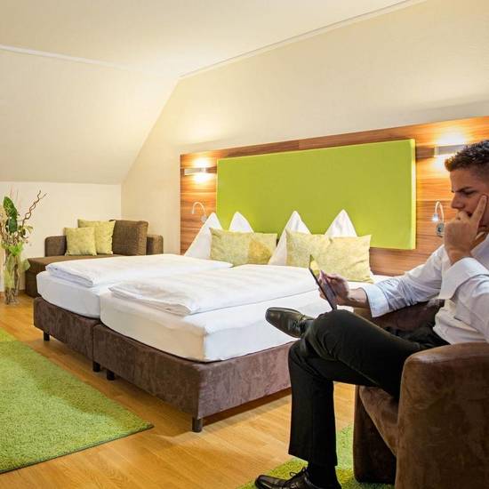Haupl 4* Австрия, Зальцкаммергут