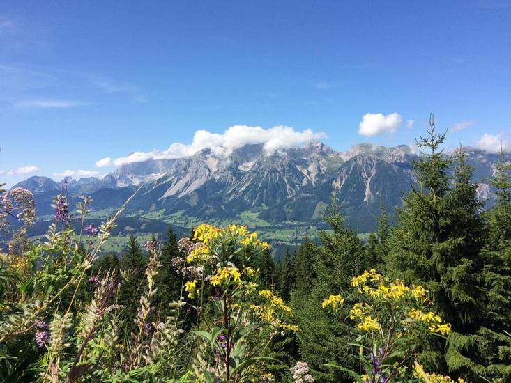 Starchlhof 3* Австрия, Штирия