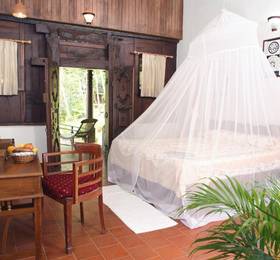 Туры в Somatheeram Ayurvedic Resort в Индии