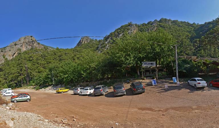 Saban Tree Houses