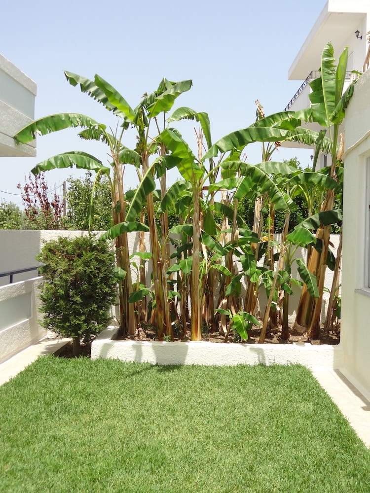 Michalis Studios & Apartments