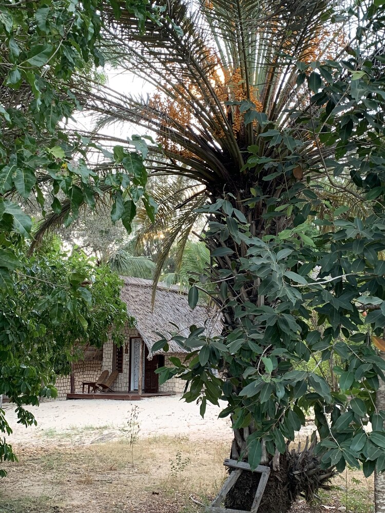 Bamboo Club