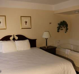 Туры в Imperial Swan Hotel & Suites в США