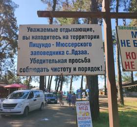 Green House в Пицунде