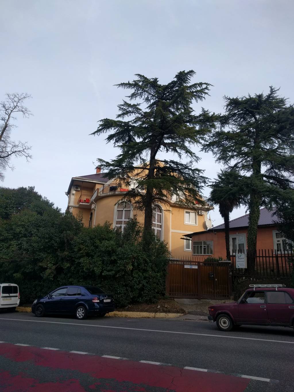 Hotel Vinograd (Виноград), Нов. Сочи 3*
