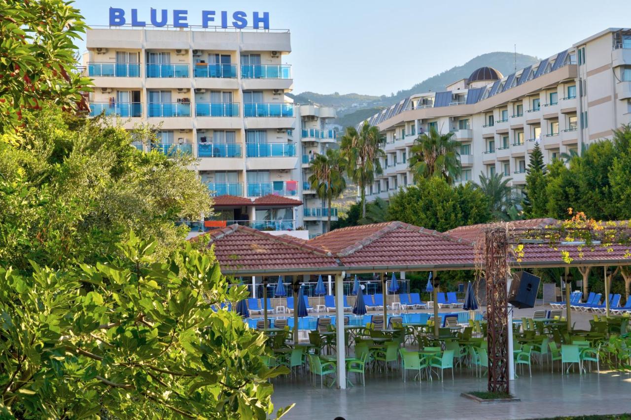 Блю фиш турция аланья. Турция Blue Fish. Blue Fish 4*. Обзор отеля Блю Фиш Турция. Hotel Montell Fish.