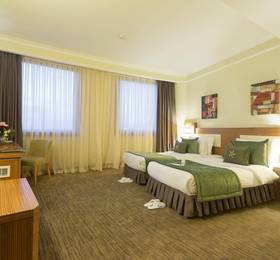 Туры в Golden Tulip Nicosia Hotel & Casino в Кипре