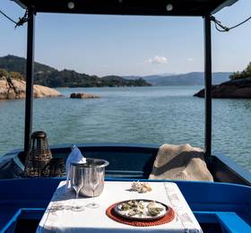 Туры в Ponta dos Ganchos Resort в Бразилии