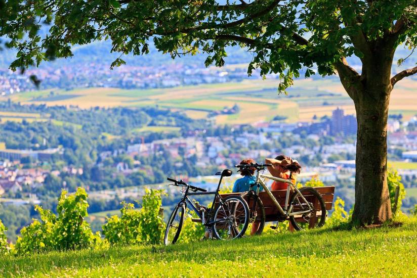 Holiday Inn Express Stuttgart-Waiblingen 3* Германия, Бад-Вюнненберг