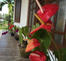 Heesara Holiday Resort в Велигаме