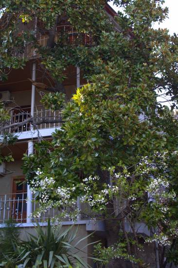 Гостевой дом Radmir 3* Россия, Алупка