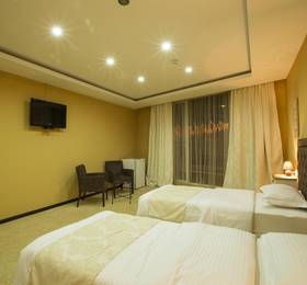 Туры в Amber Hotel в Армении