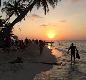 Туры в Akasha Beach Maafushi в Мальдивах
