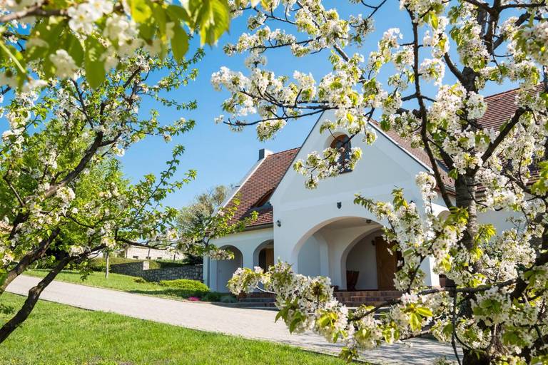 Weingut Figula