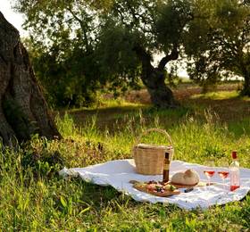 Туры в Fazenda Nova Country House в Португалии