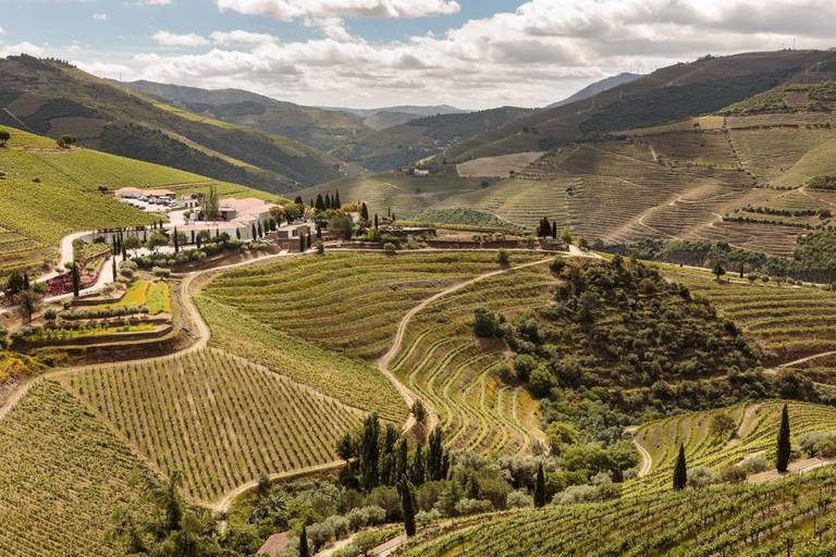 Quinta Nova - Luxury Winery House