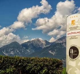 Туры в Mondi-Holiday Alpinhotel Schlosslhof в Австрии