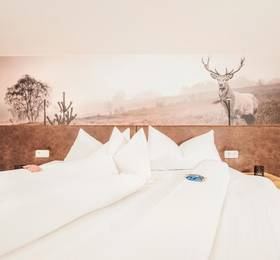 Отдых в Hotel Garni Oblasser - Австрия, Майрхофен