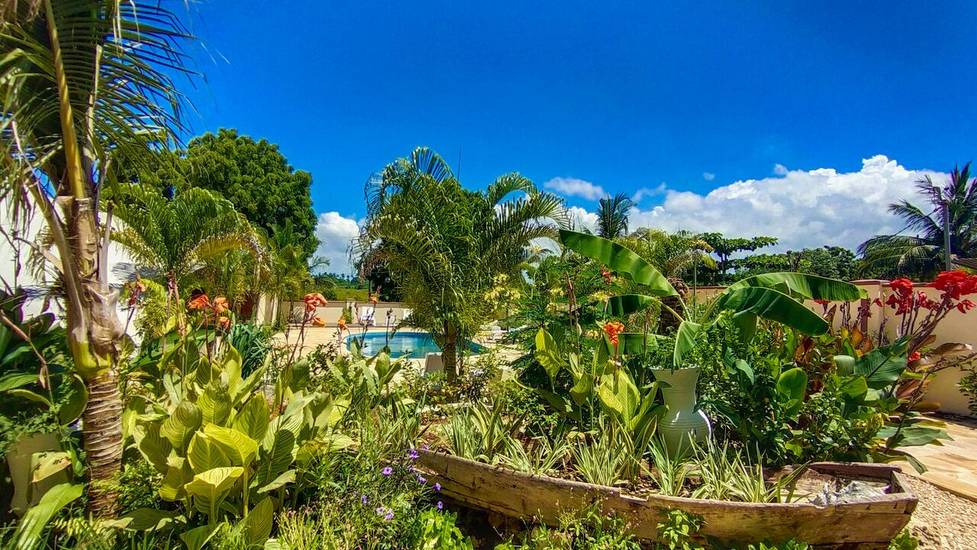 Golden Palms Boutique Hotel 3* Танзания, Занзибар, Стоун Таун