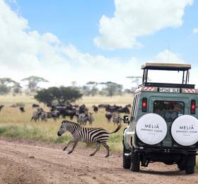 Melia Serengeti Lodge в Серенгети