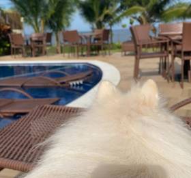Туры в Itacimirim Eco Resort в Бразилии